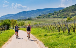 Neckar Valley Cycle Path