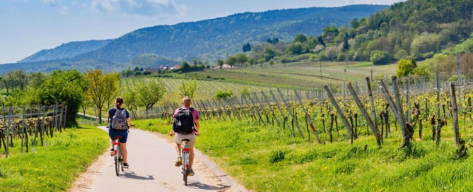 Neckar Valley Cycle Path