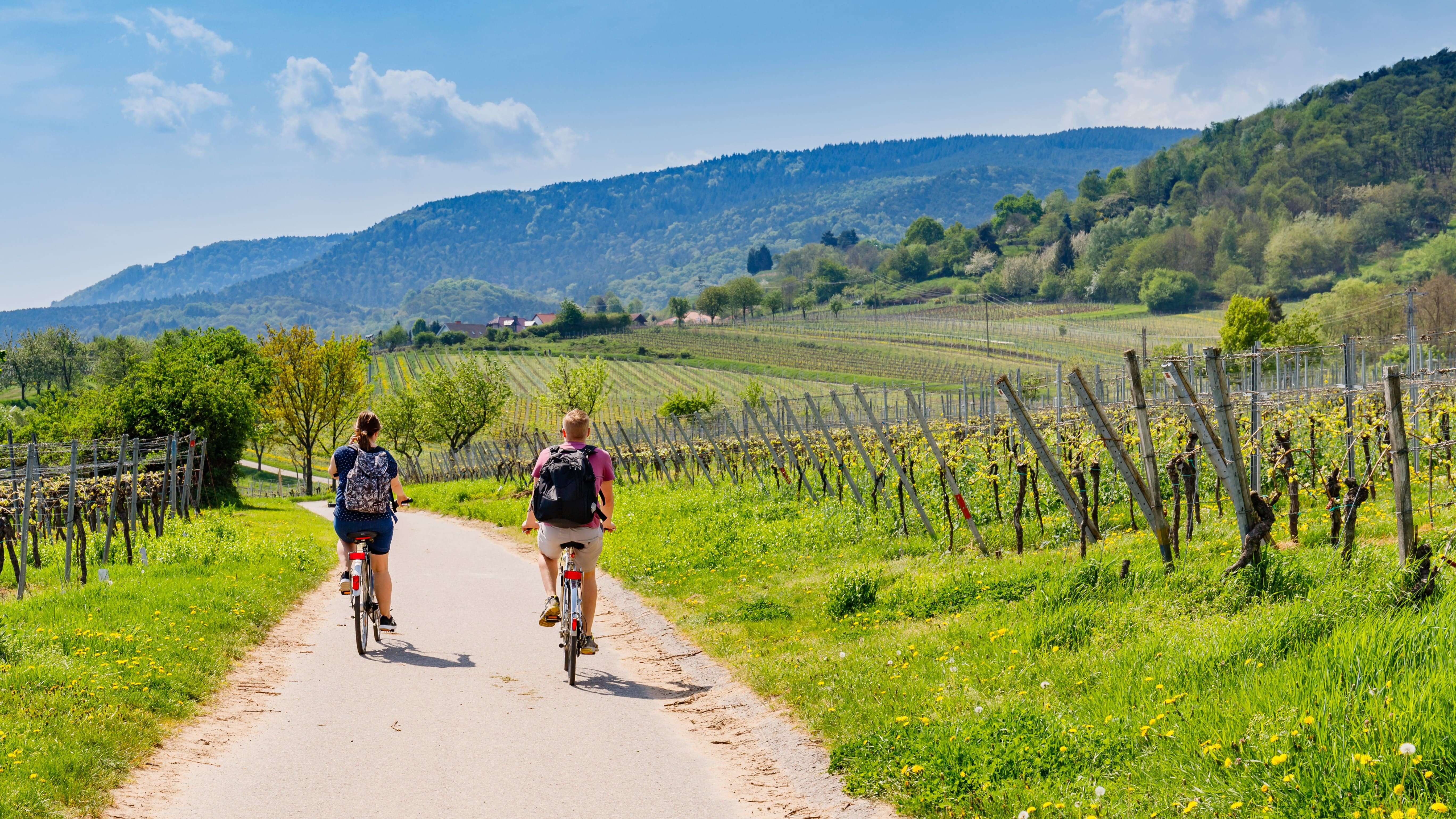 Neckar Valley Cycle Path