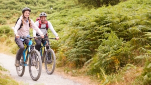 Fahrradtouren in Mittel- und Norddeutschland: Elberadweg