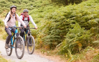 Cycling Tours in Central and Northern Germany: Elbe Cycle Path