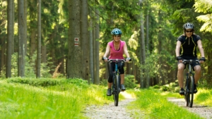 Moselle Cycle Path