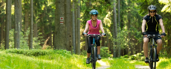 Moselle Cycle Path