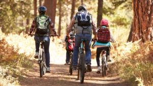 Main Cycle Path