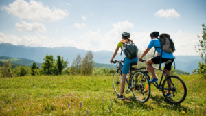 Leine-Heide Cycle Path