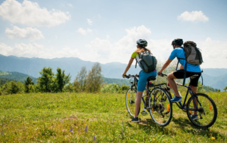 Leine-Heide Cycle Path